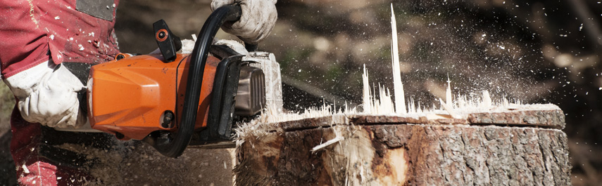 Stump Grinding Services