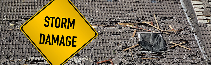 Tree Pruning Services